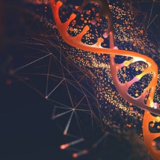 DNA strand